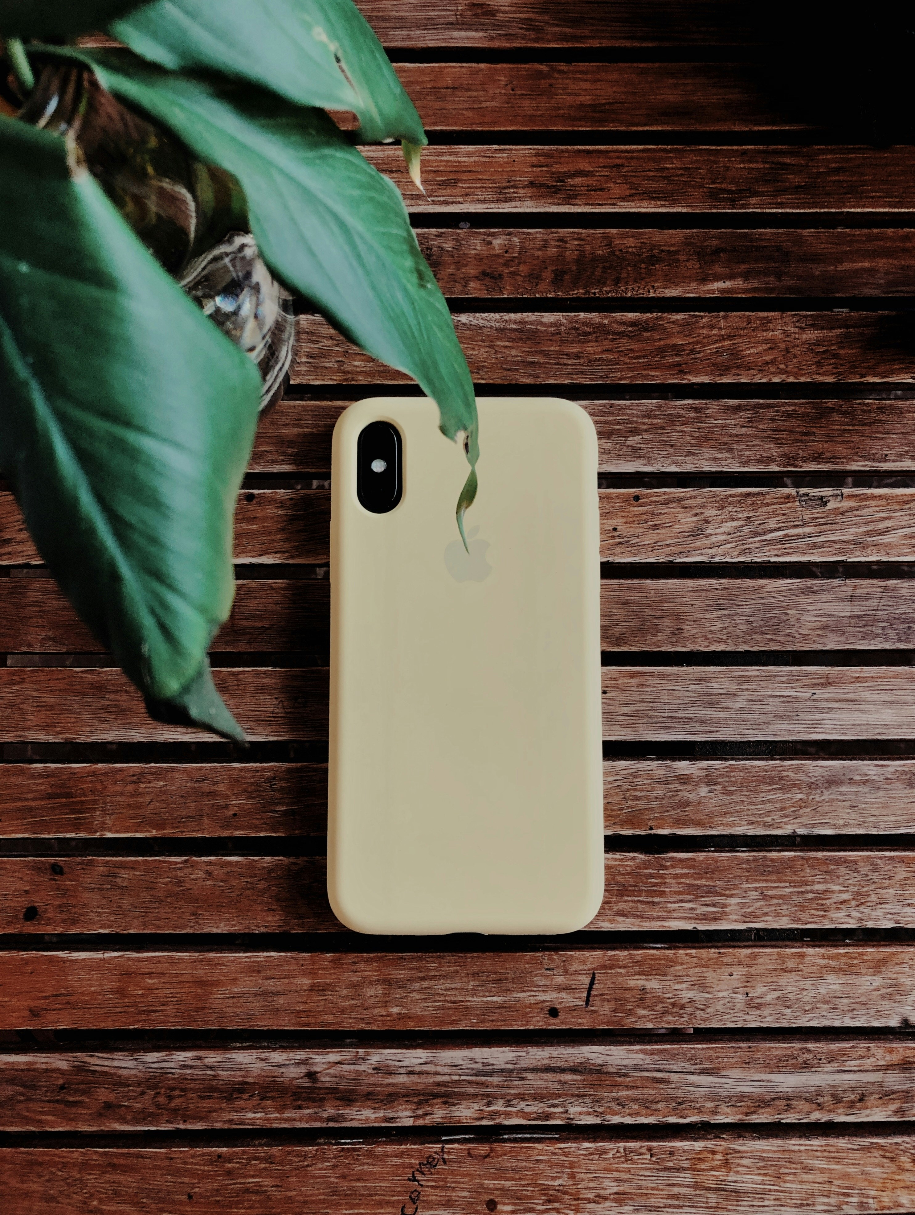 Photo by dastan_khdir