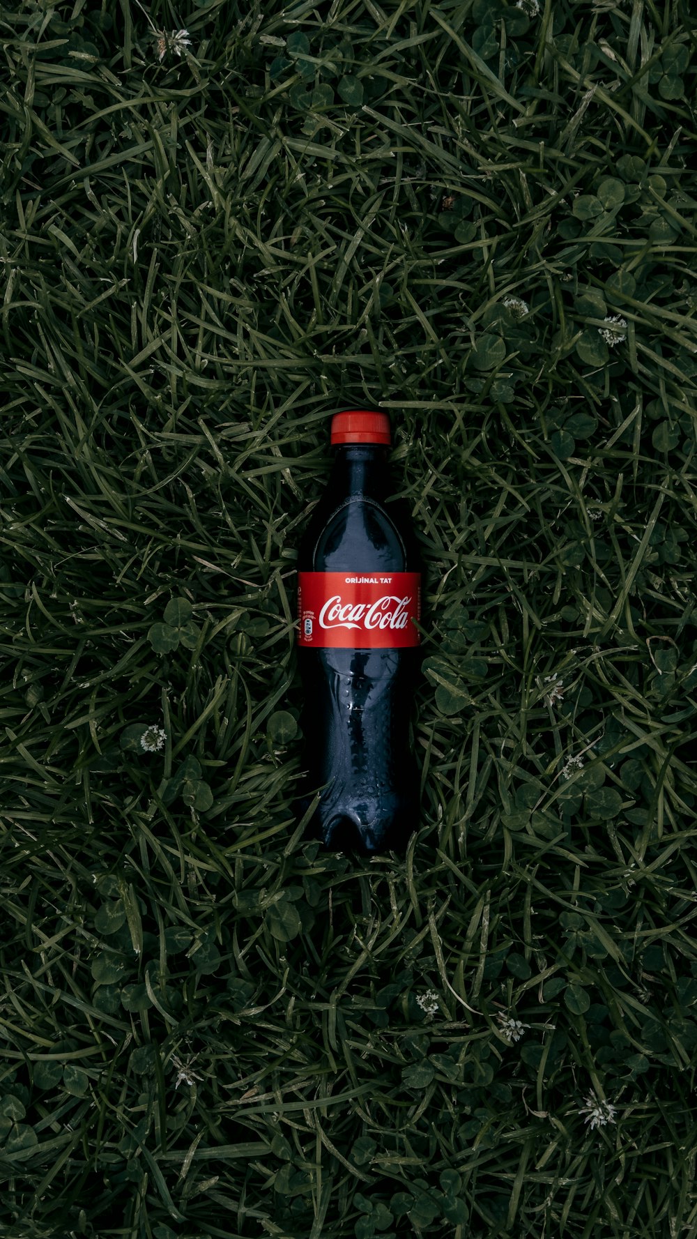Coca-Cola soda bottle on grass