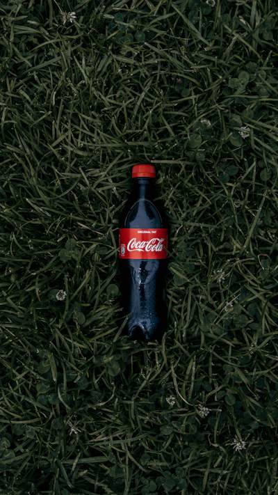 Bouteille Coca plastique