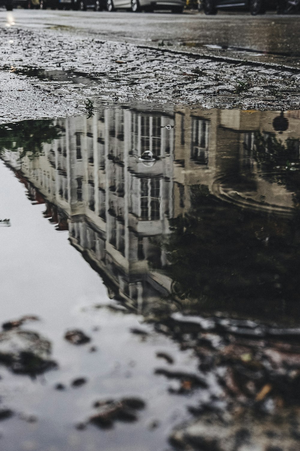 close-up photography of water puddle