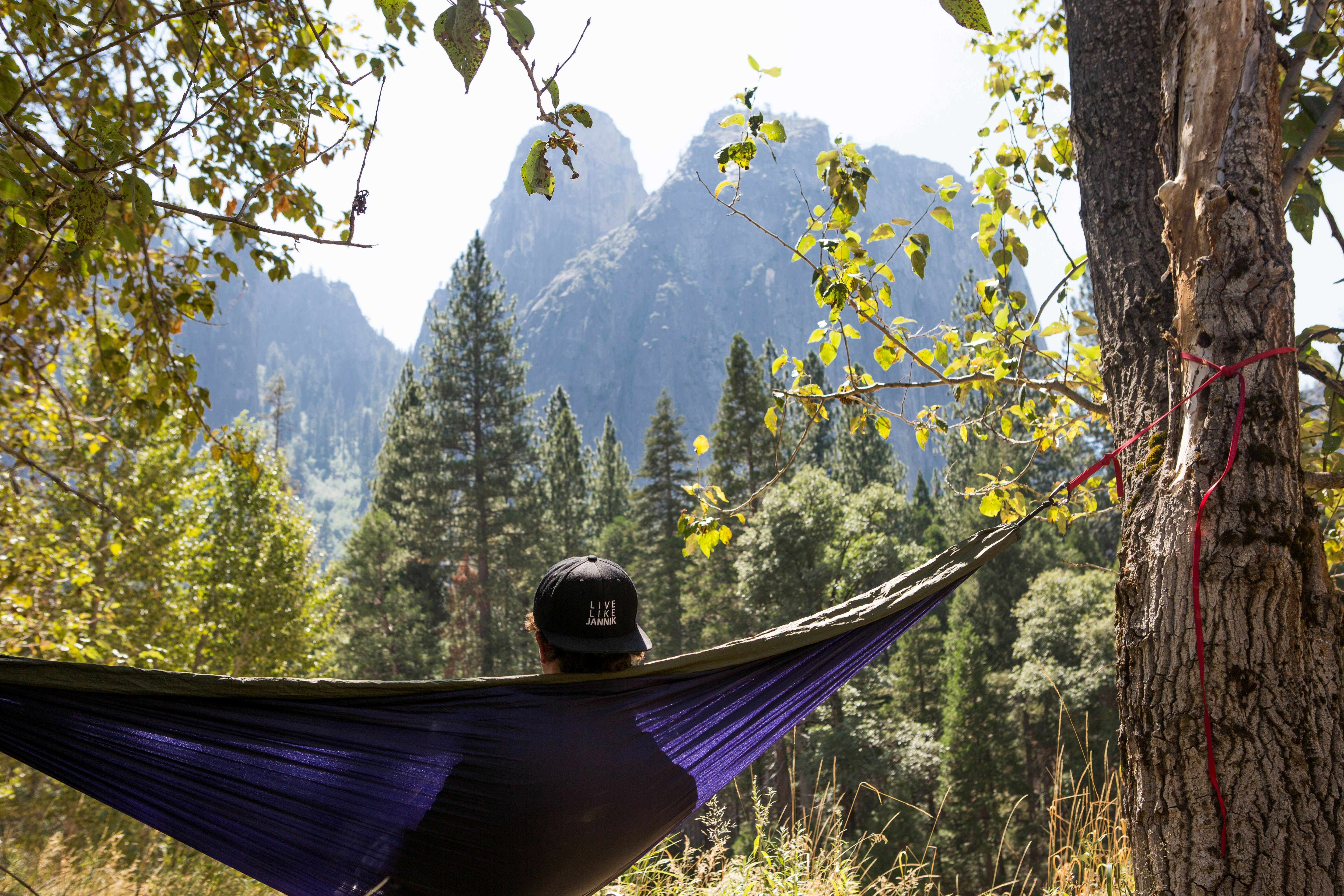 Photo by reednaliboff