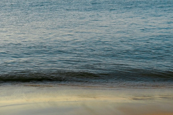 Gentle waves touching the shore under a peaceful sky, illustrating flow and balance in life.