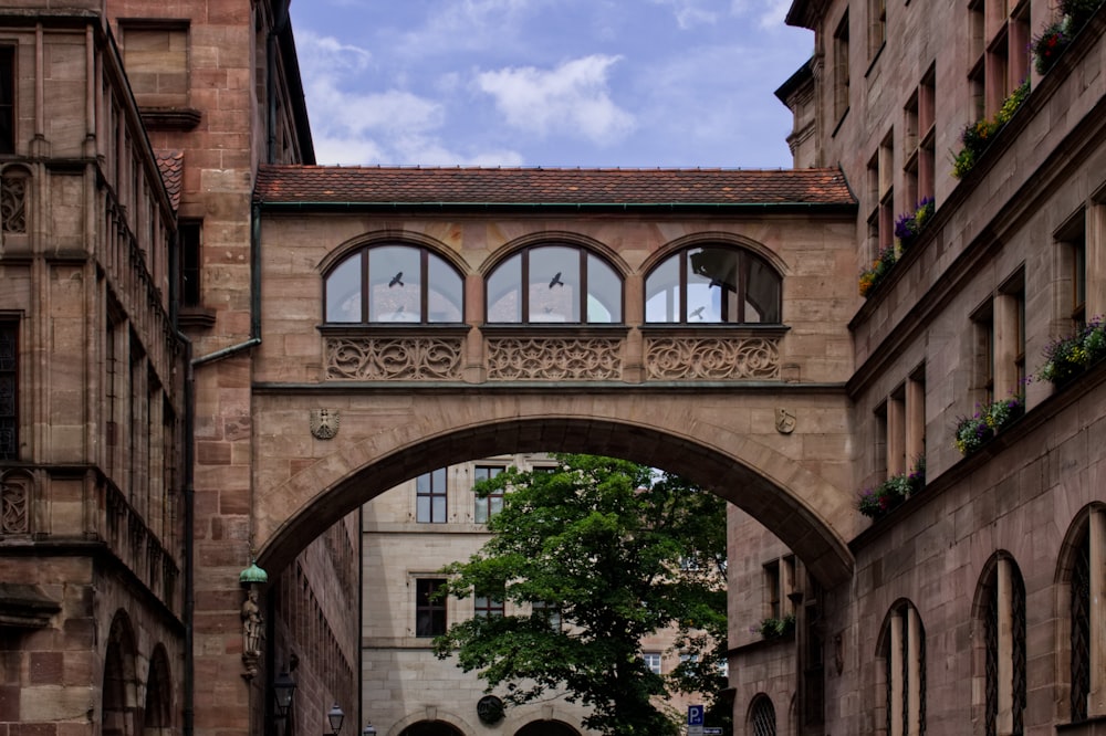 green tree under brown brick arch building