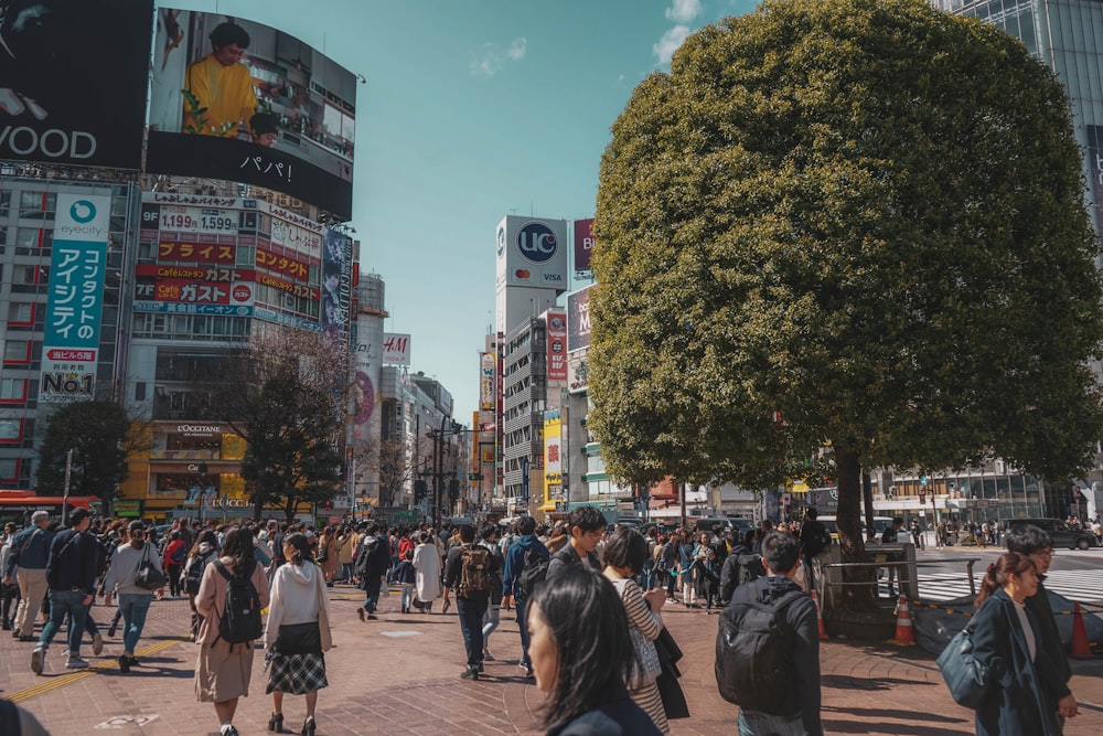 people walking on street