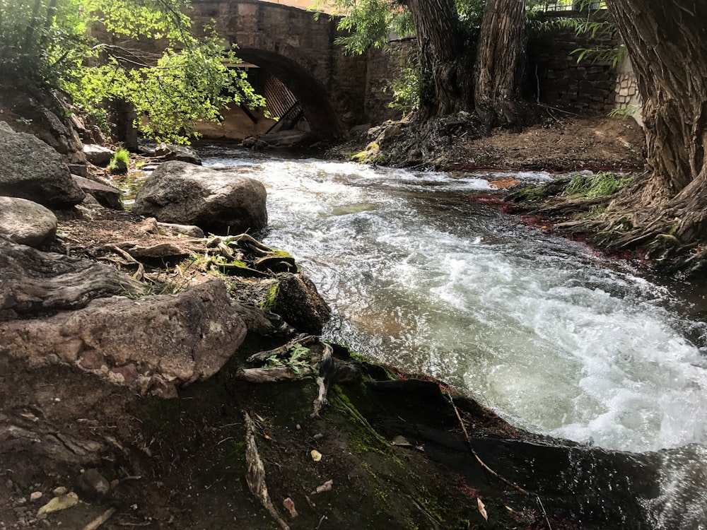 green moss covered rocks in bank of river