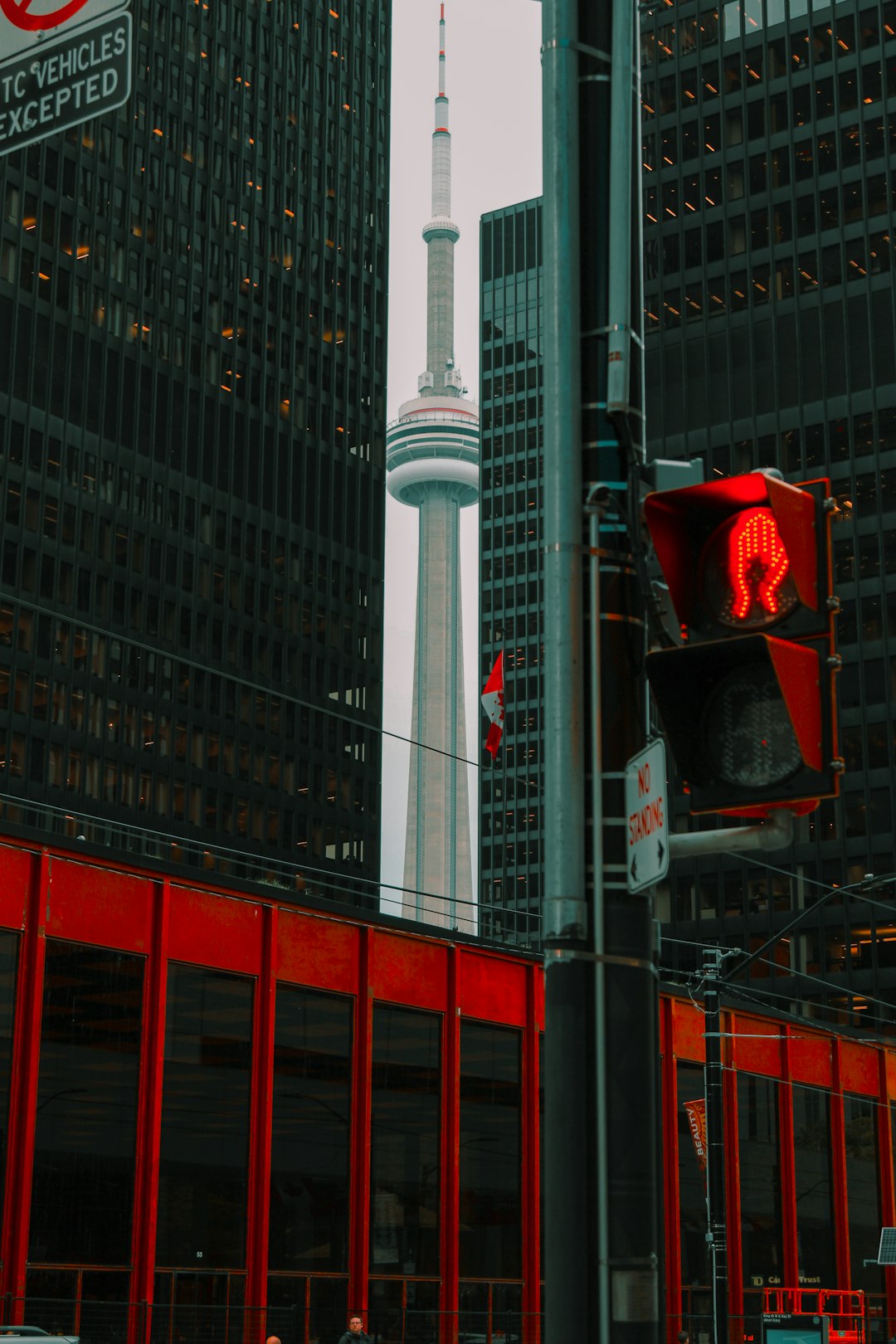 CN Tower through high-rise buildings