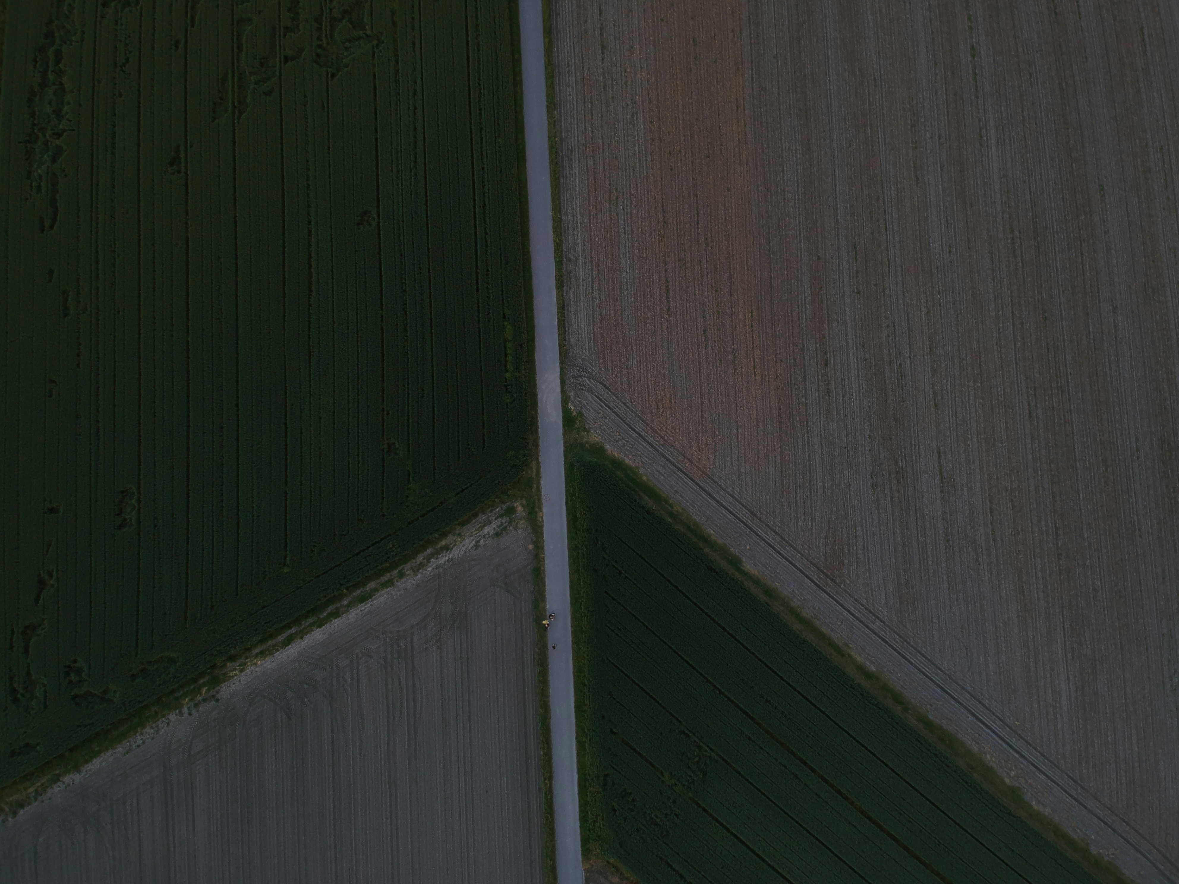 photo-1560975520-11a61d453028?ixid=M3wxMjA3fDB8MXxzZWFyY2h8MTl8fGRha2Rla2tlcnxlbnwwfHx8fDE3NTg0MjA0MzV8MA\u0026ixlib=rb-4.1.0