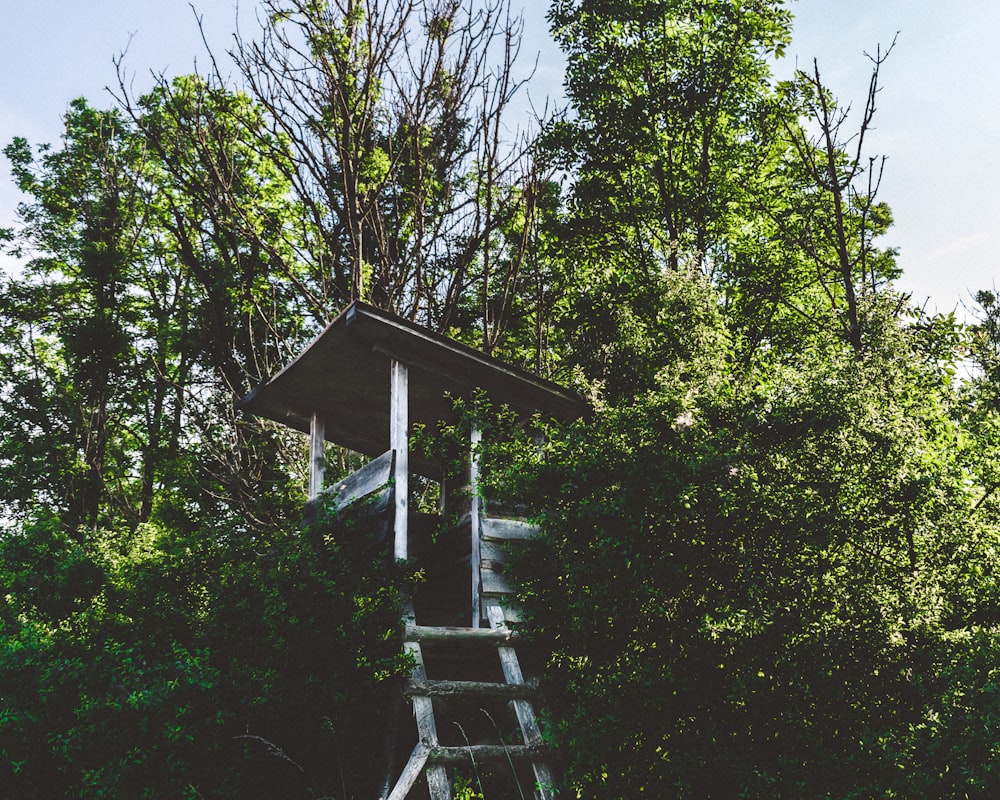selective focus photography of tree house