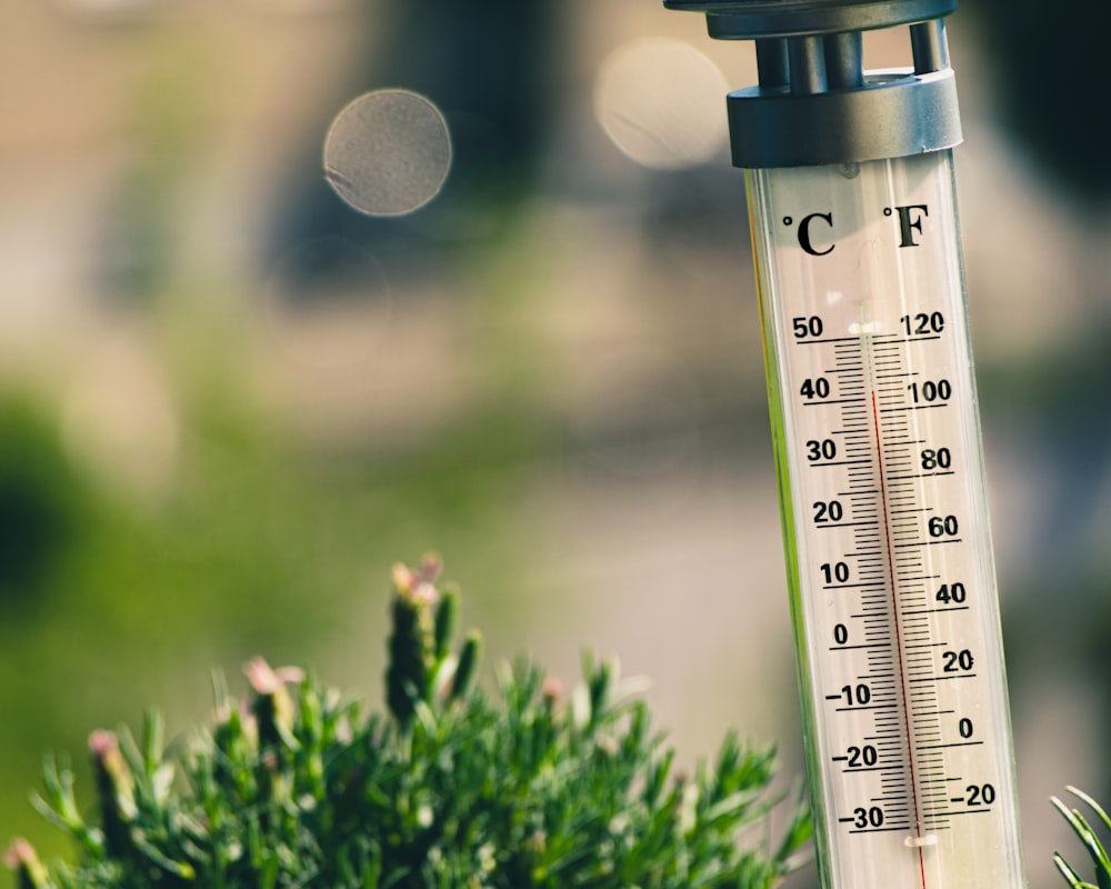 bokeh photography of thermometer on plant