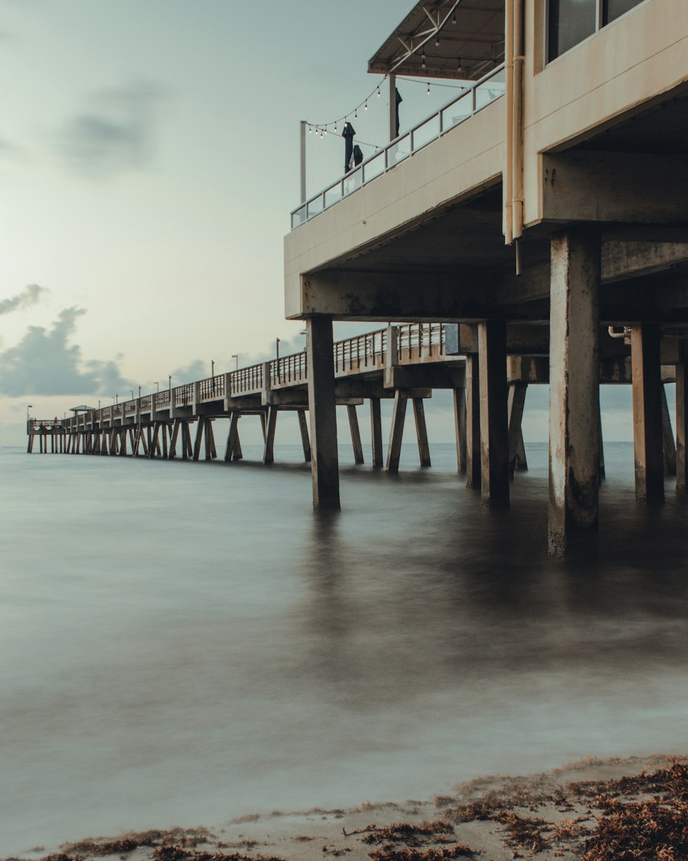 close up photography of dock