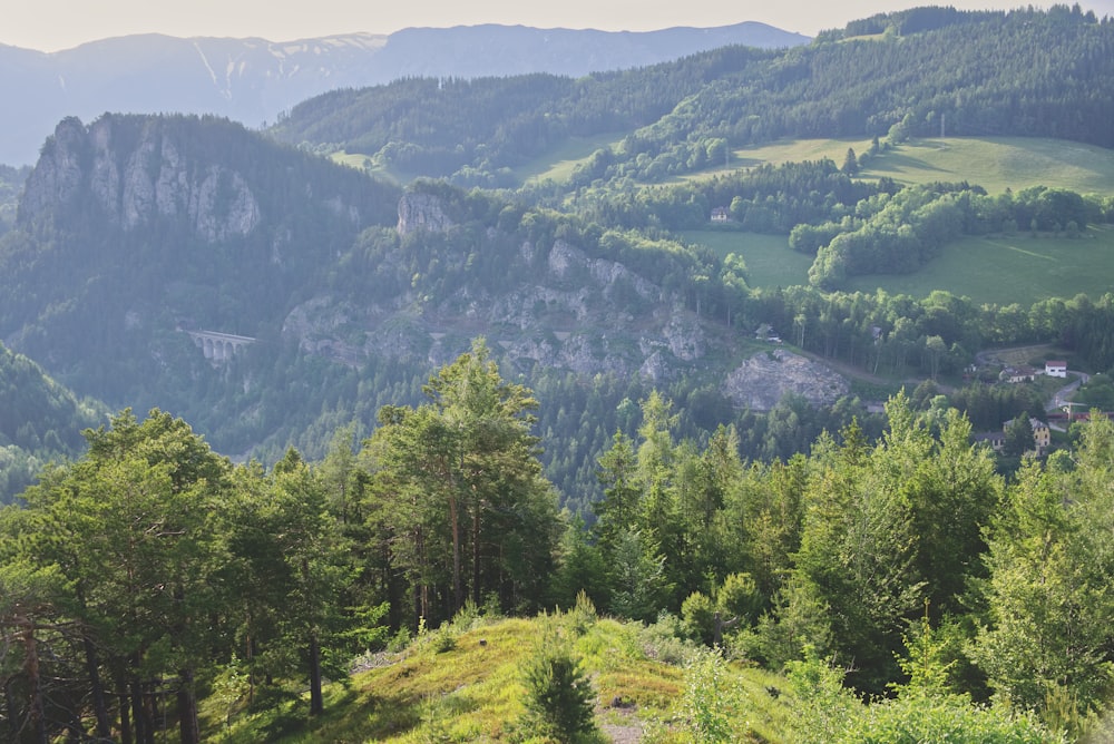 Berg mit Bäumen bedeckt