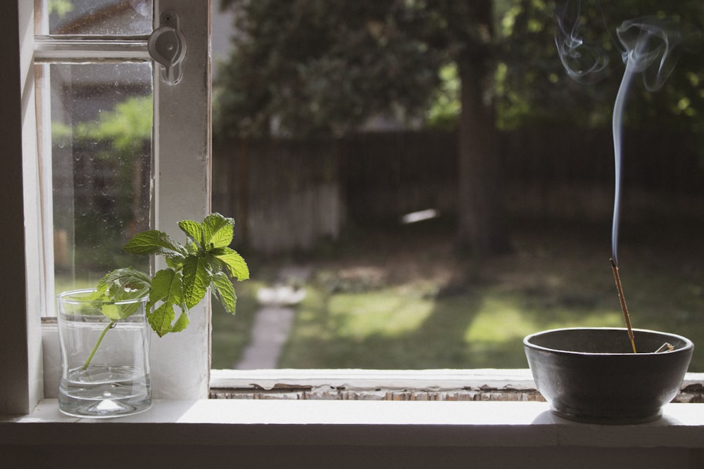 time lapse photography of incense smoke on pot