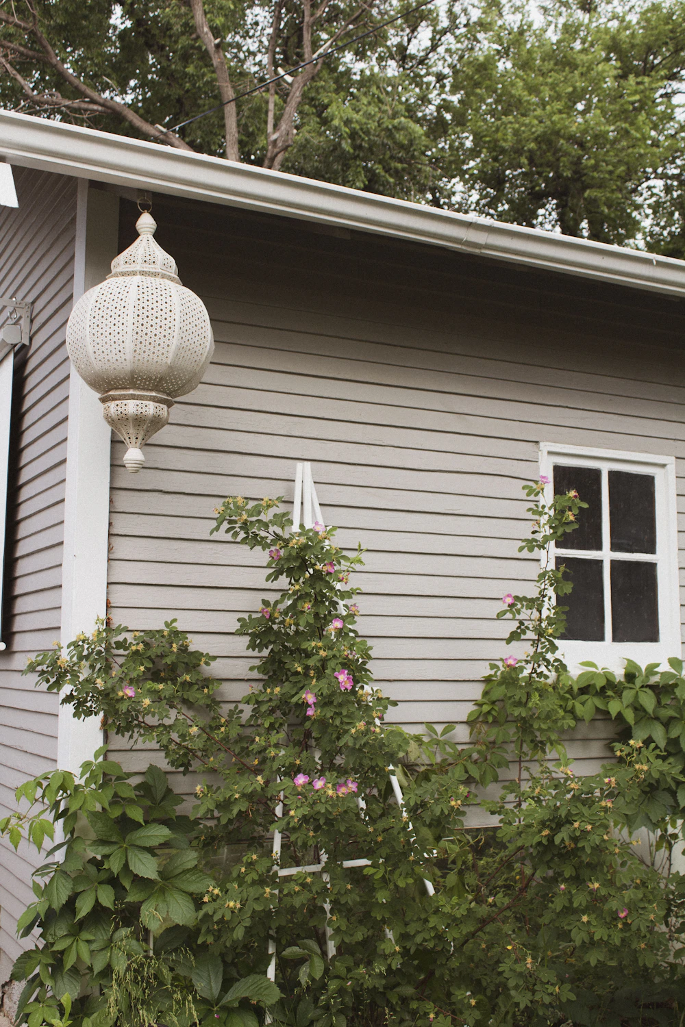 Home exterior with a wide lawn