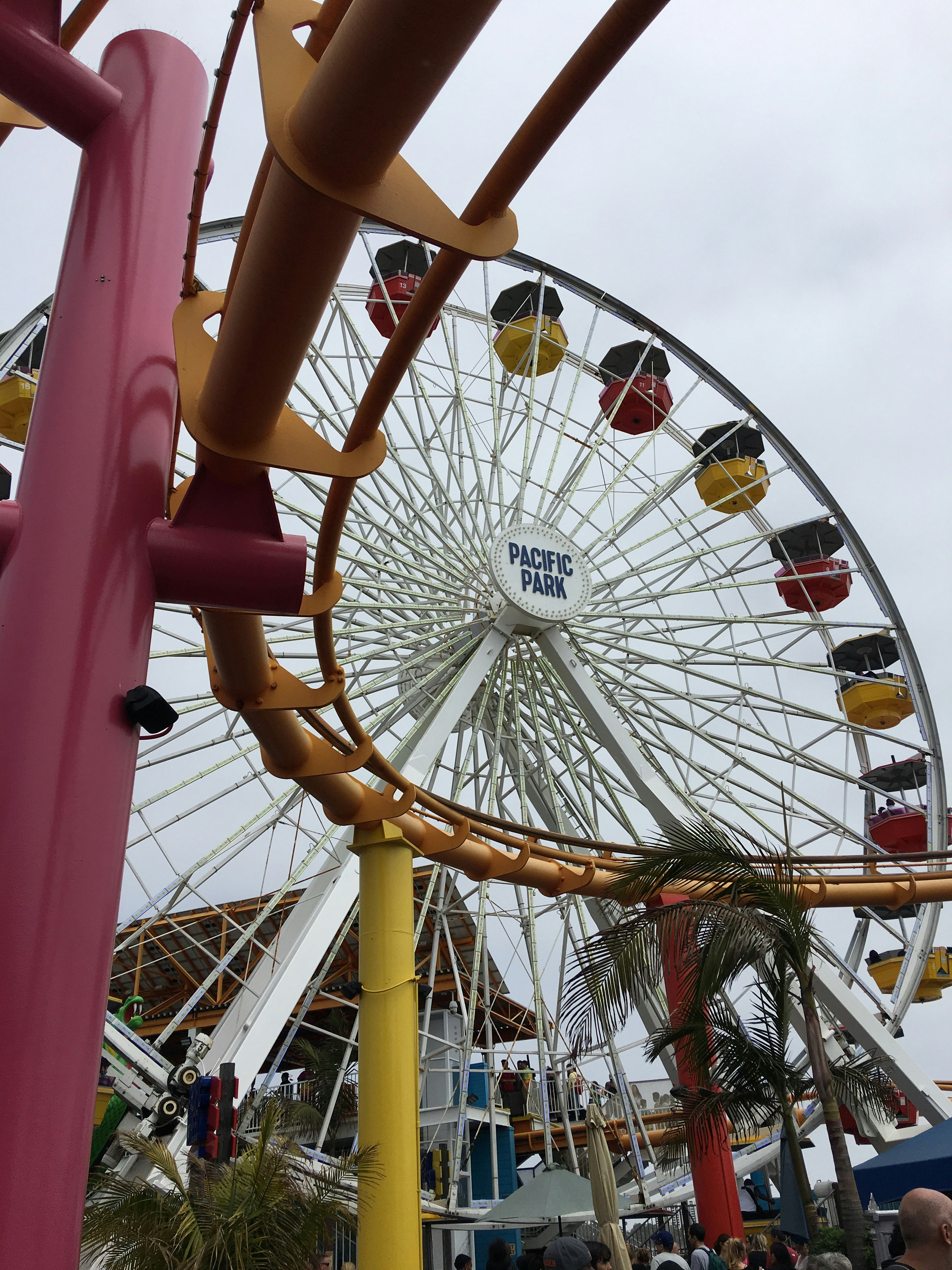 Photo by maiquynhtruong