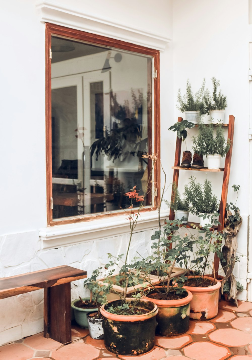 six flower pots in front of brown wooden framed clear glass window