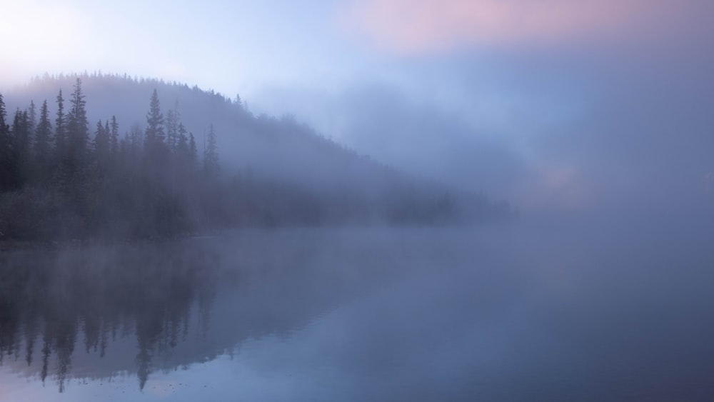 a foggy lake with trees on the shore
