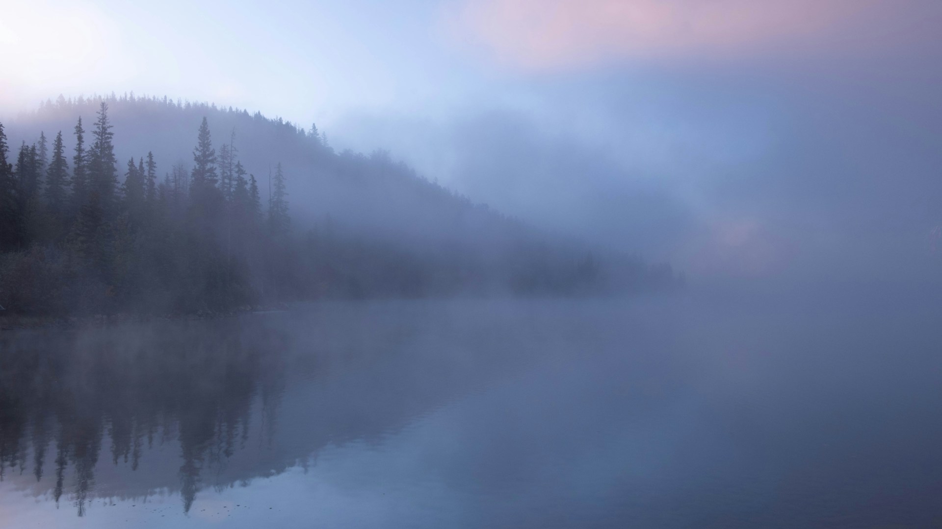 a foggy lake with trees on the shore