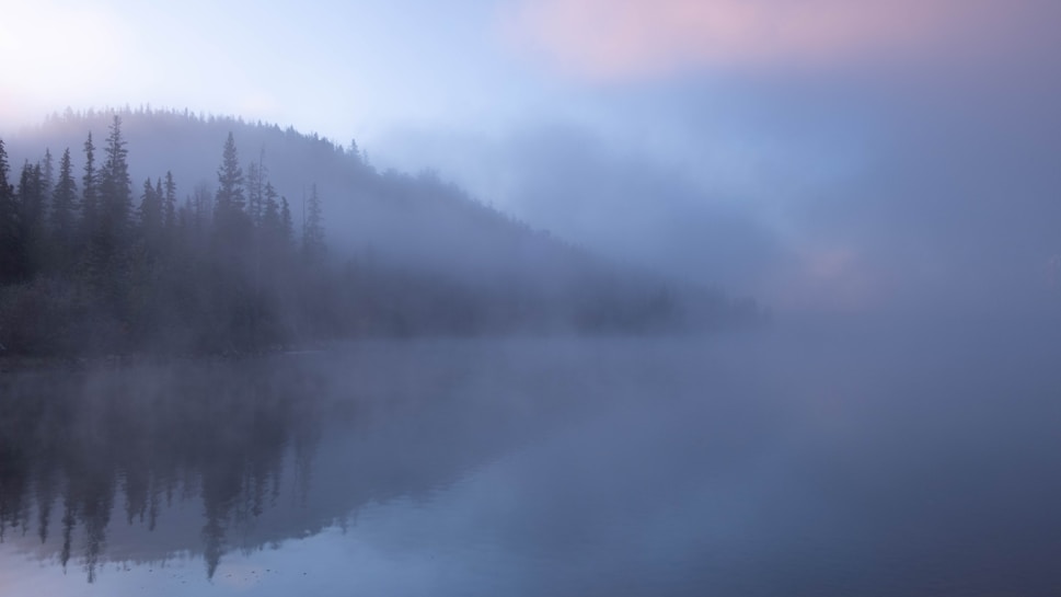 A serene landscape with a misty lake reflecting the silhouettes of tall pine trees. The fog creates a soft, blurred effect across the water and sky, with hints of blue and pink hues giving a gentle glow to the scene. The trees are dense along the shoreline, fading into the mist in the distance.
