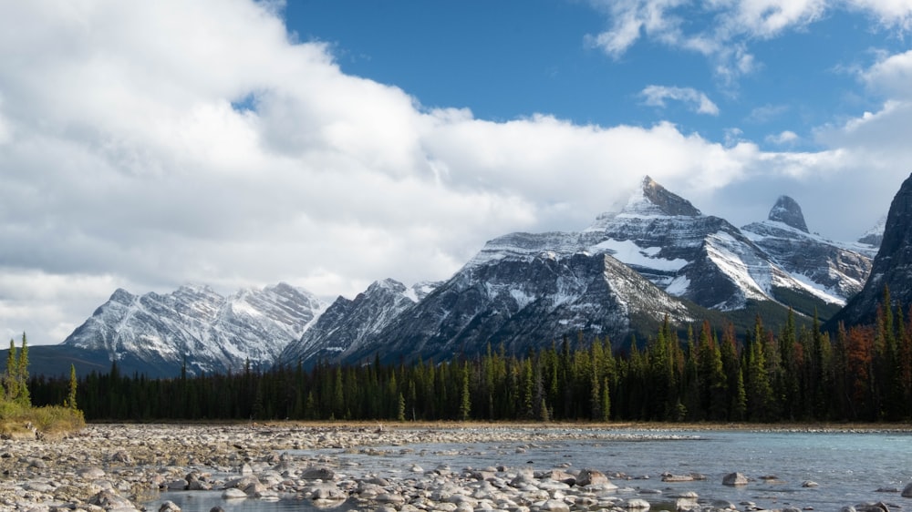 rocky river and glacier mountains at the distance