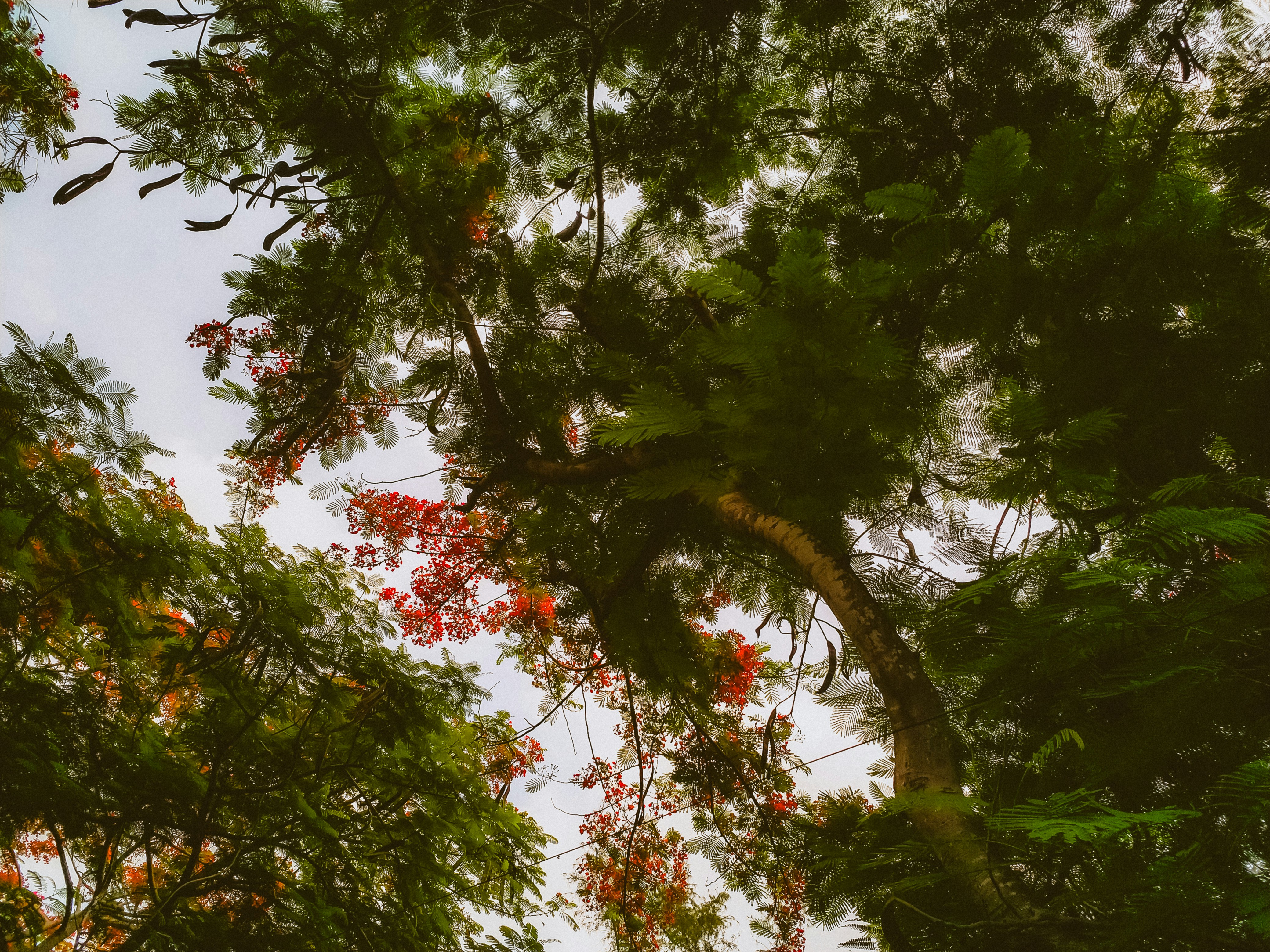 Photo by thanhliem178