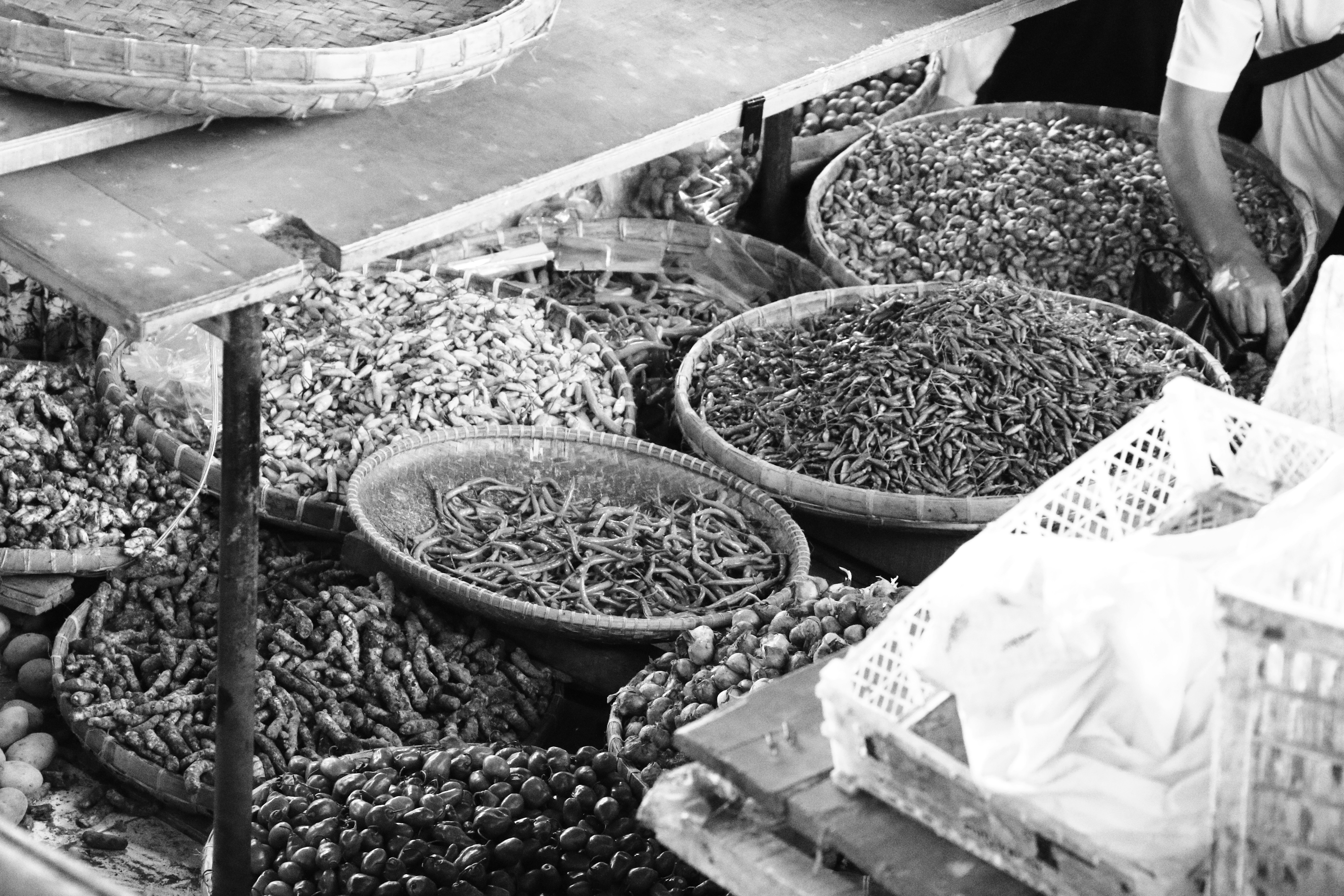 Photo by pandufirdaus