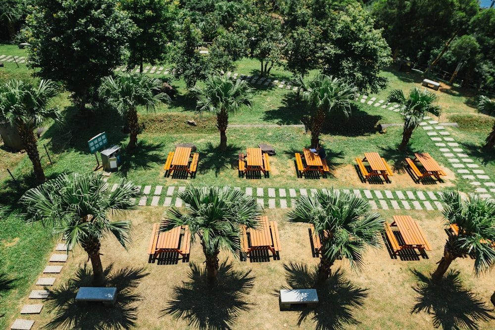 rows of picnic tables beside palm trees at the garden