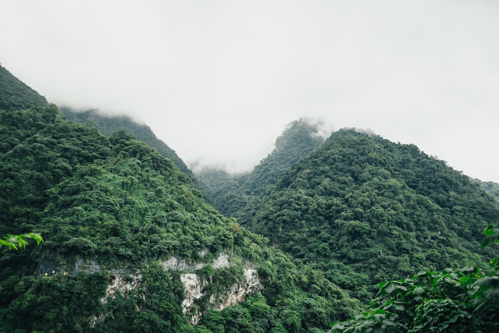 low lying white cloud covering mountain peak