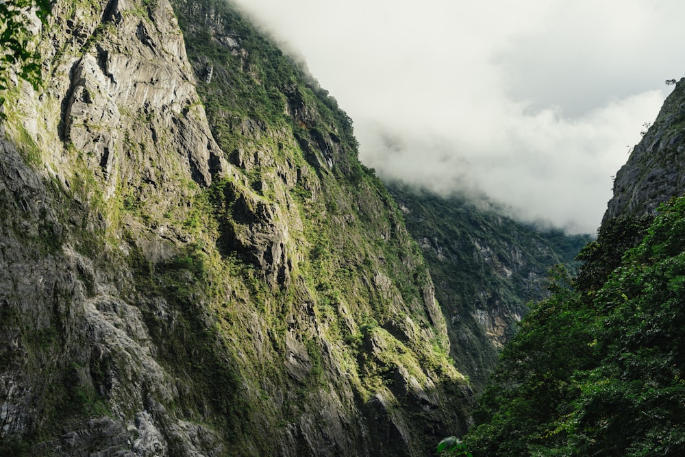 mountain covered with clouds