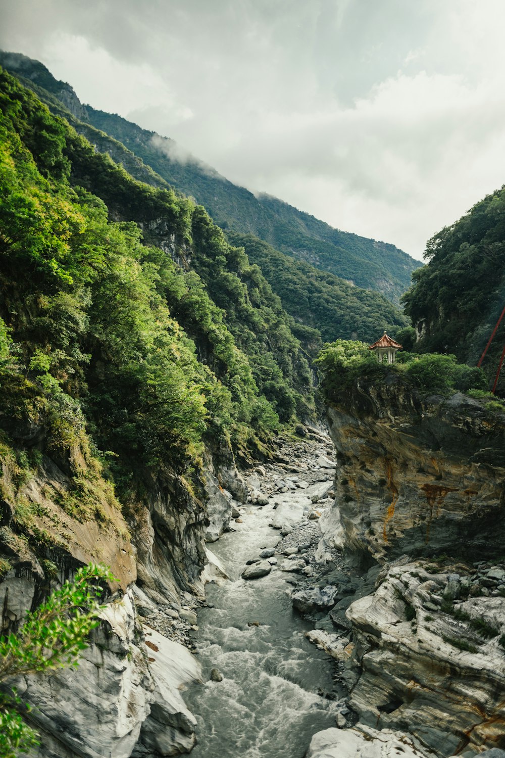 aerial view of green plants and cliff