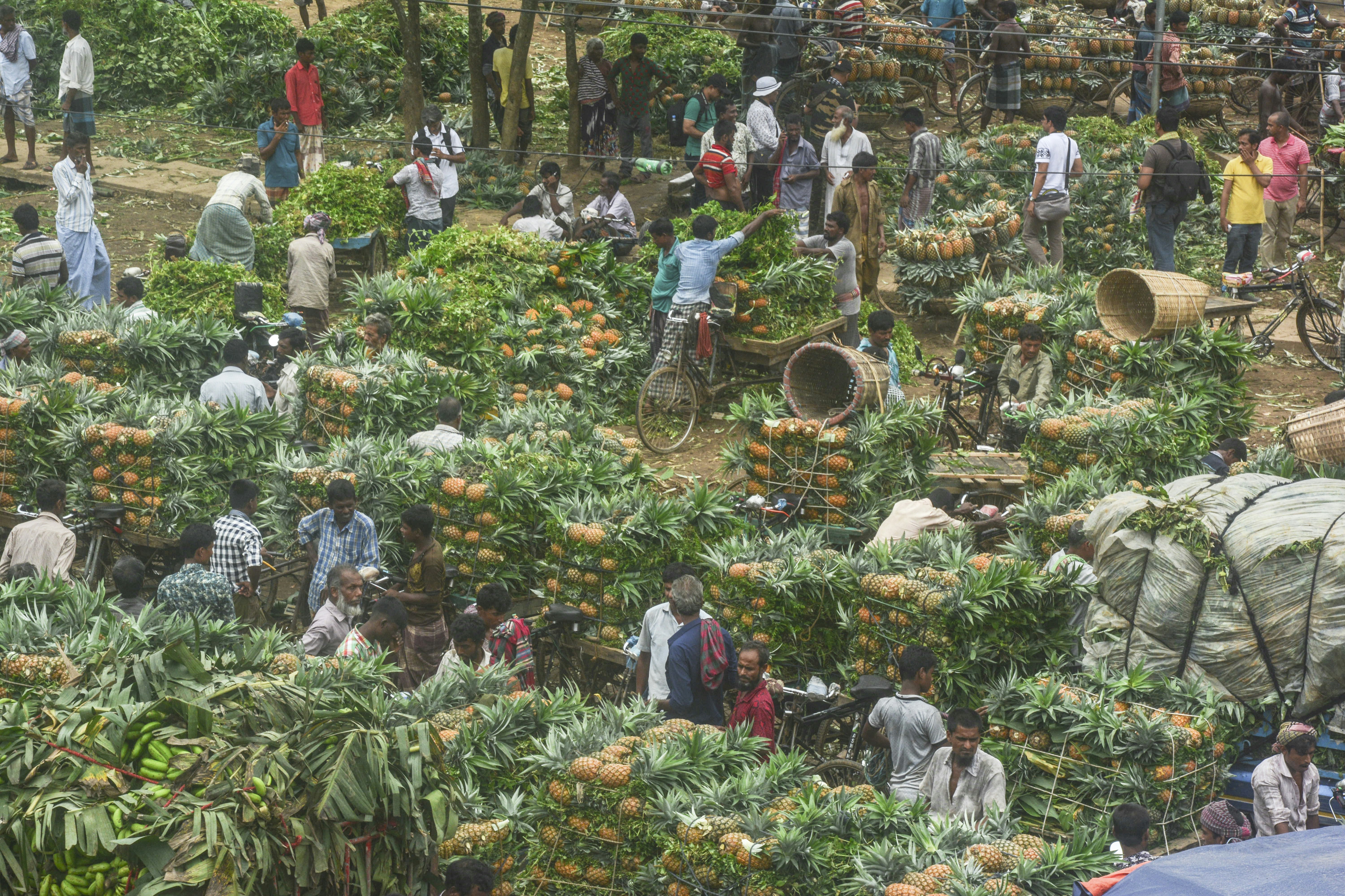 Harga Beras Melonjak: Tuntutan Pedagang Pasar kepada Pemerintah