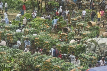 A bustling outdoor market with numerous people engaged in trading and buying fruits, primarily pineapples. The scene is lively, with stacks of pineapples and large baskets scattered throughout the area. People are interacting, negotiating deals, and checking the produce. Bicycles are parked among the crowd, some laden with fruit.