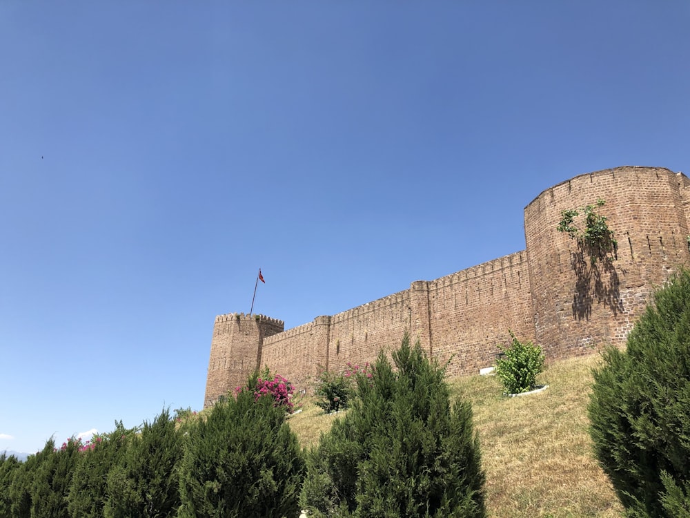 brown castle under blue sky