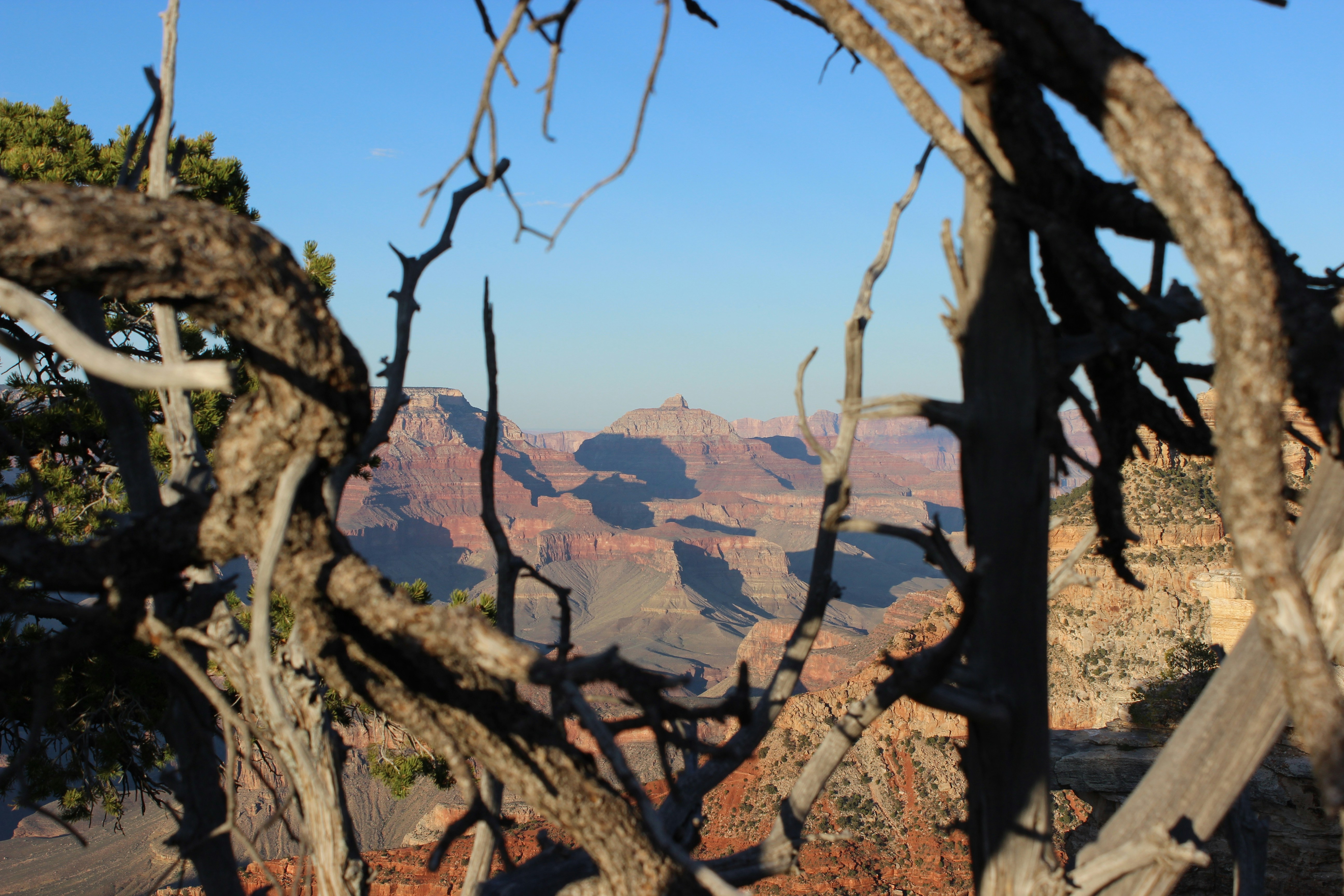 arizona holiday