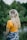 woman standing on green grass
