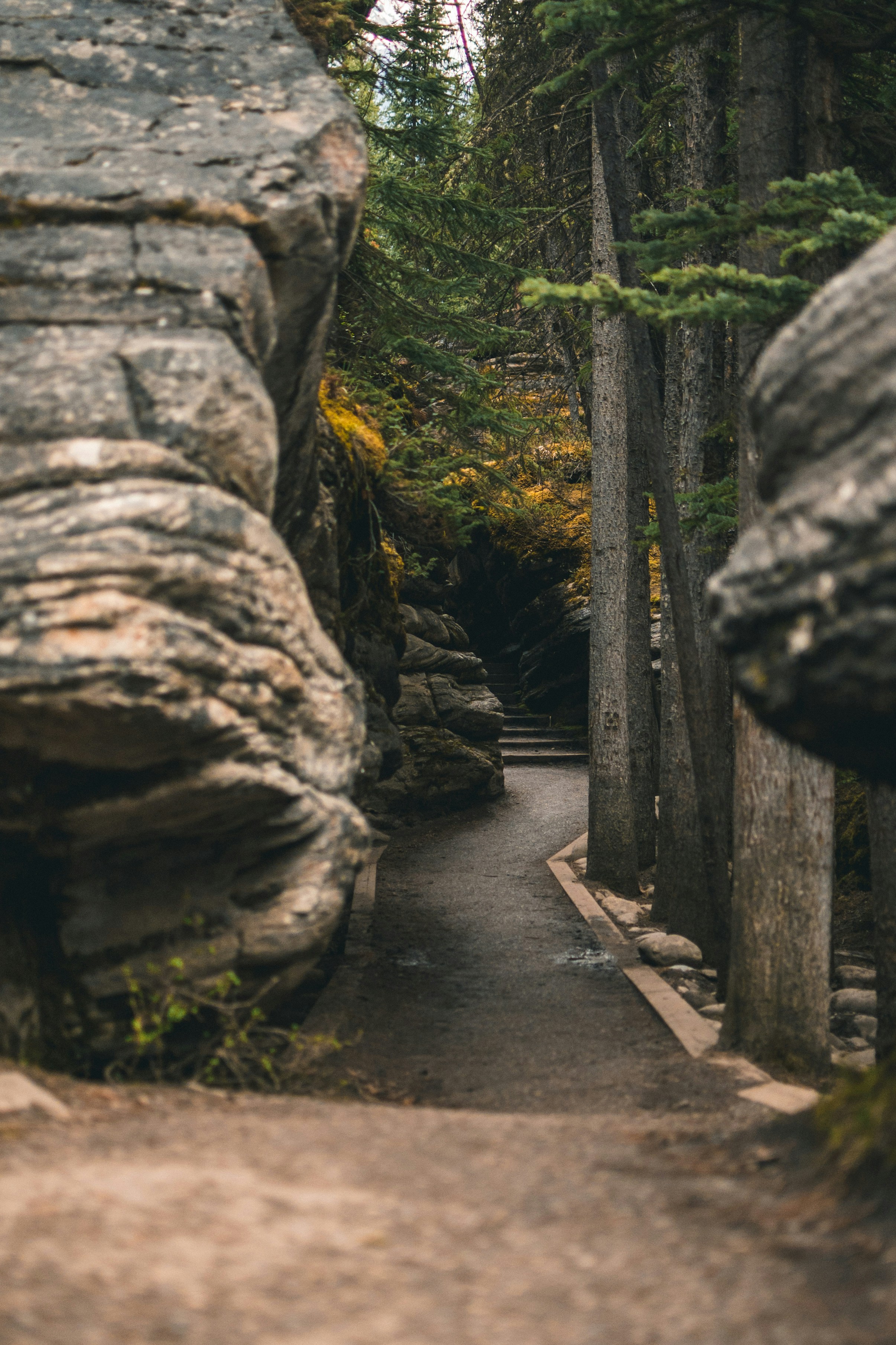 Photo by maxlarochelle