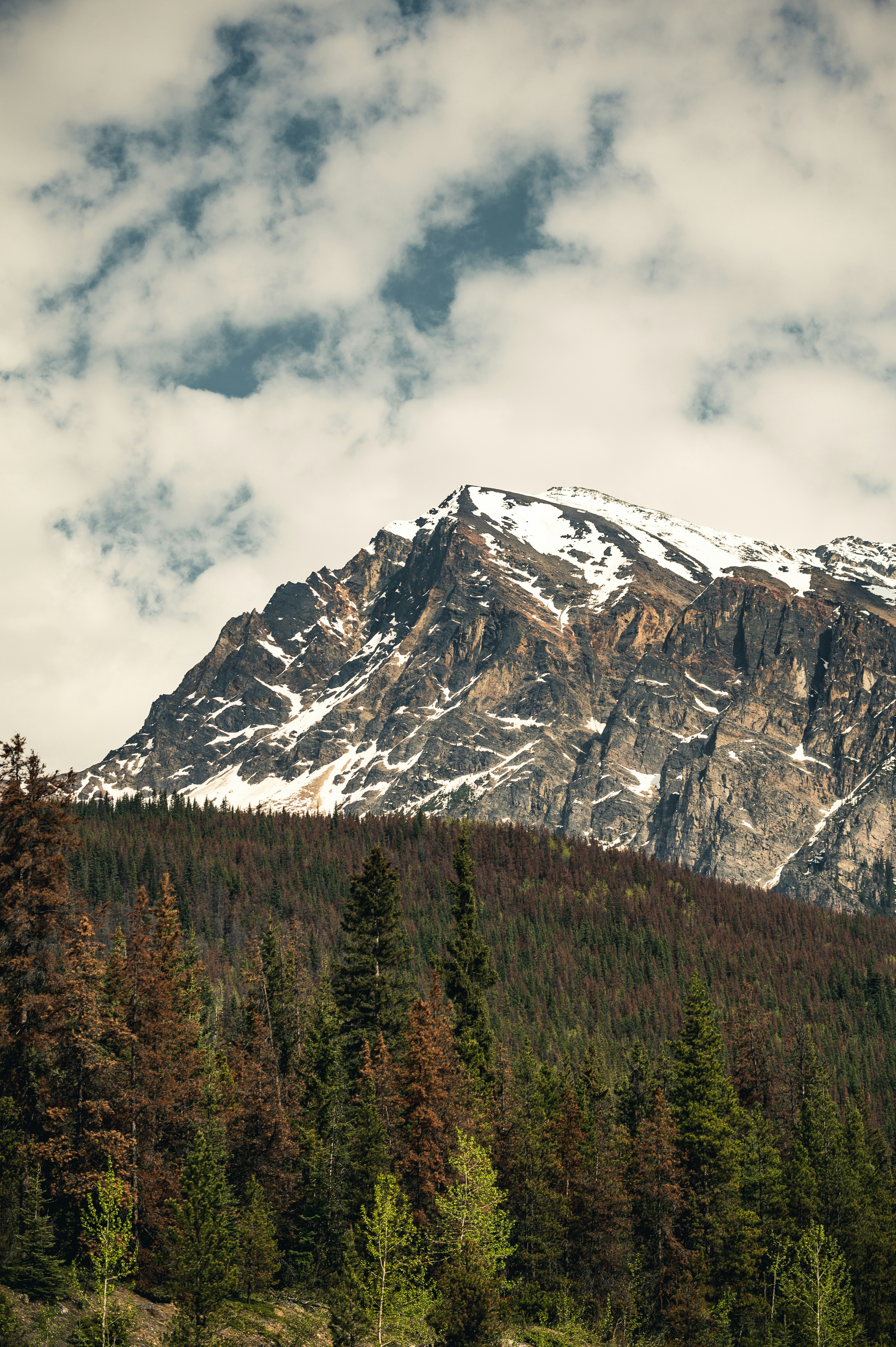 Photo by maxlarochelle