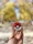 Smiling young man unboxing a sleek 3D printed pokeball at home
