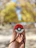 Smiling young man unboxing a sleek 3D printed pokeball at home