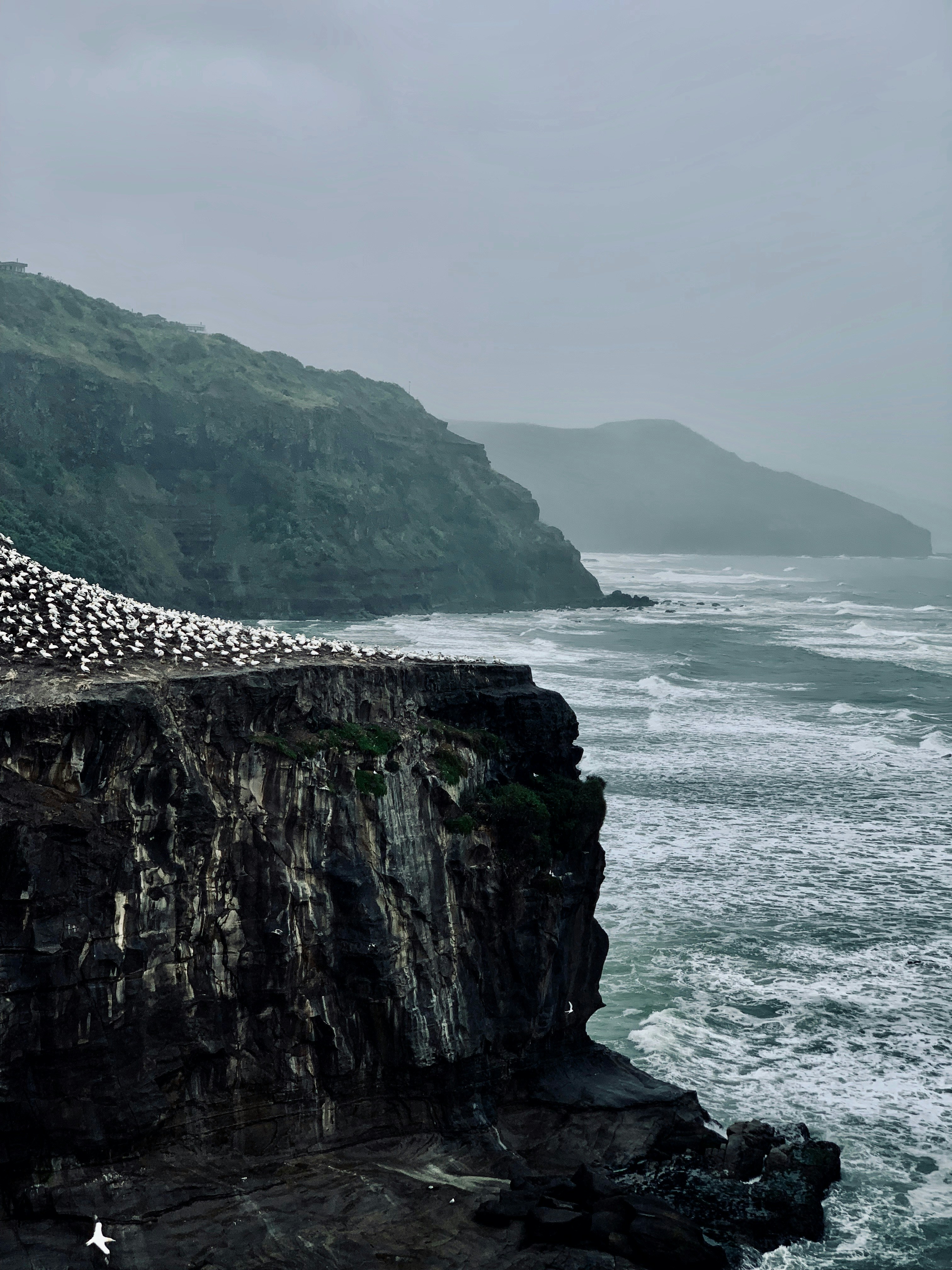 Photo by lachlancormie