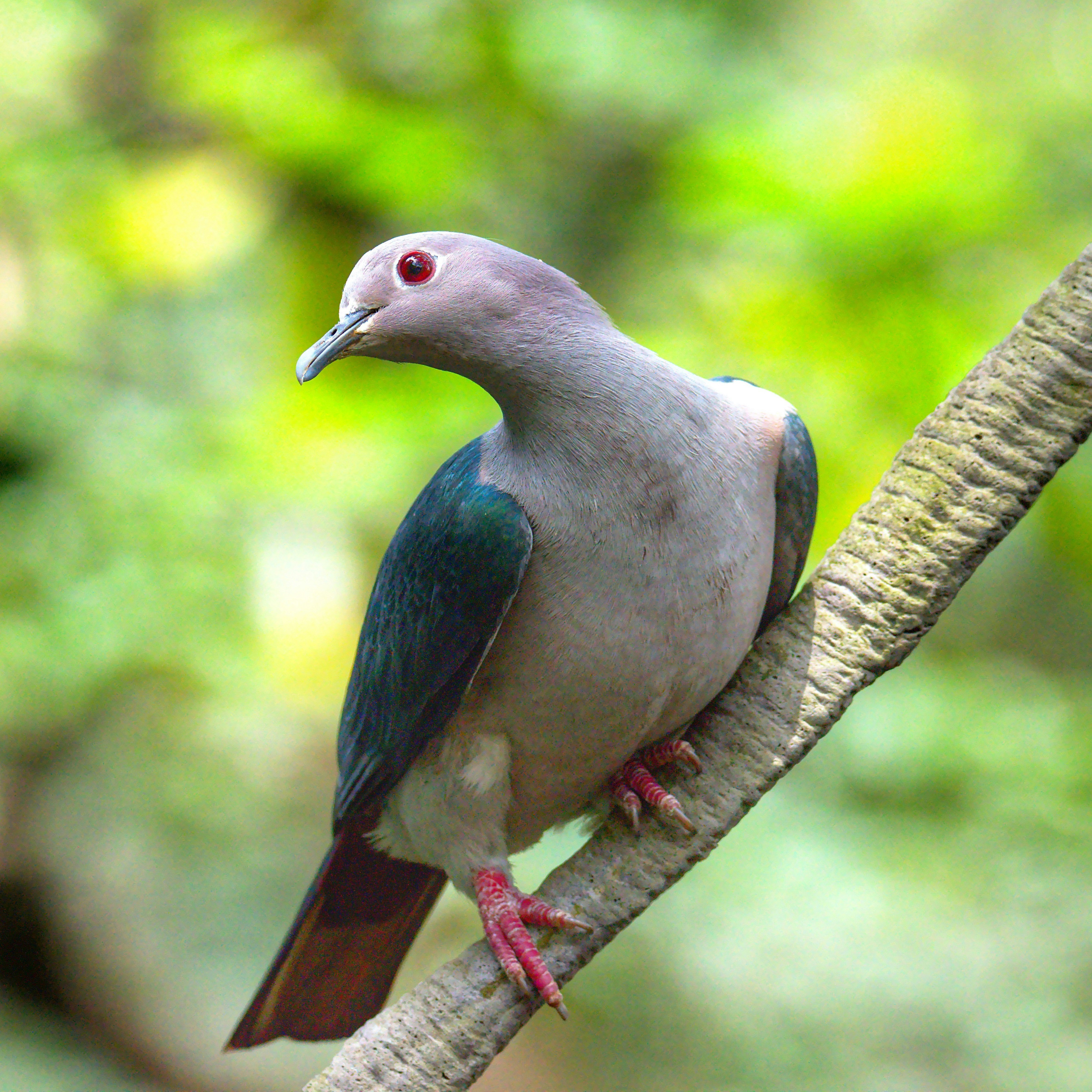 Photo by drfranksunlong