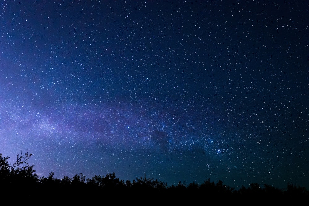 milky way visible in dark night sky