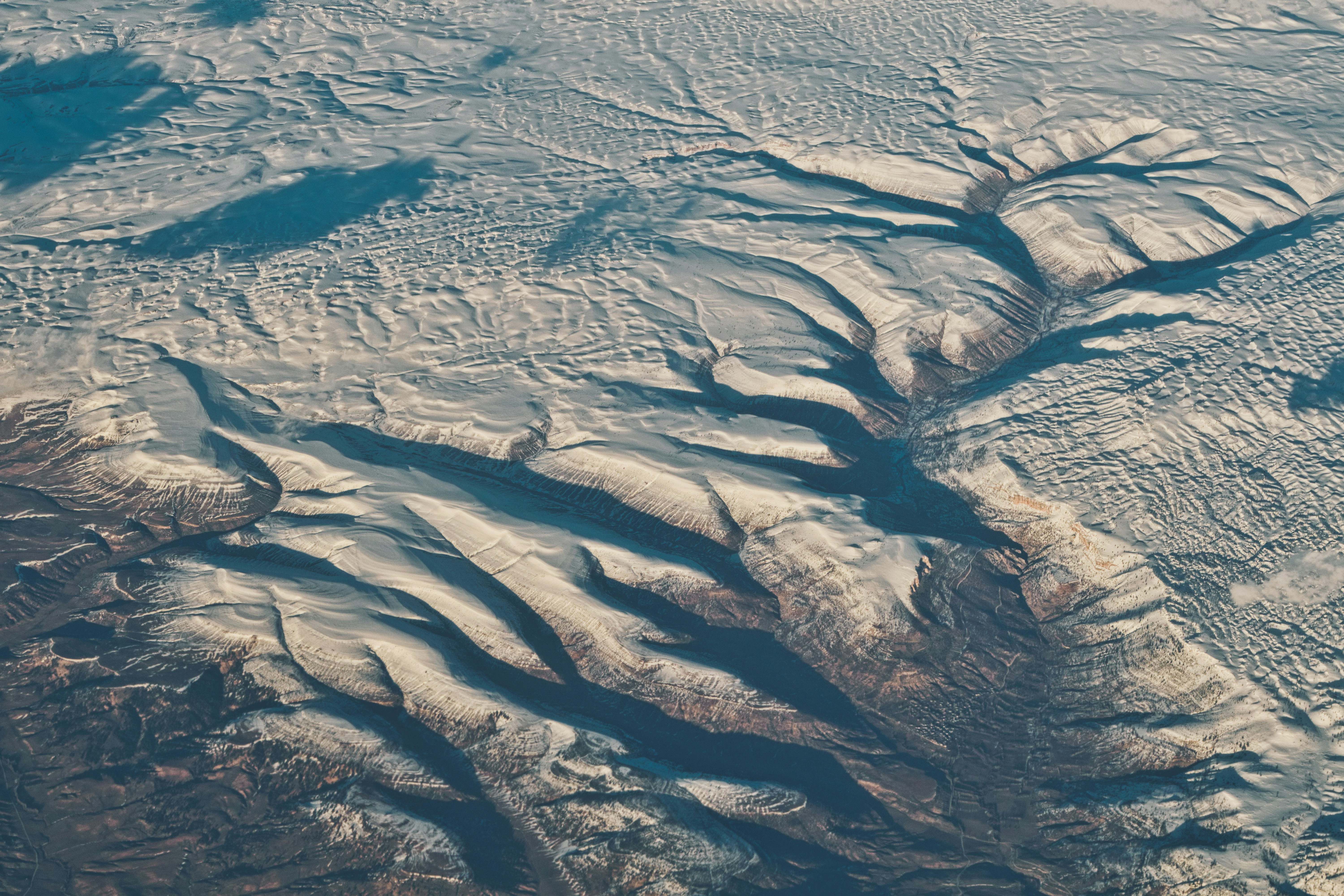 Photo by shishkovdima