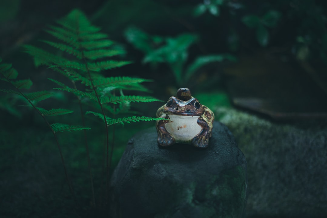 brown frog figurine