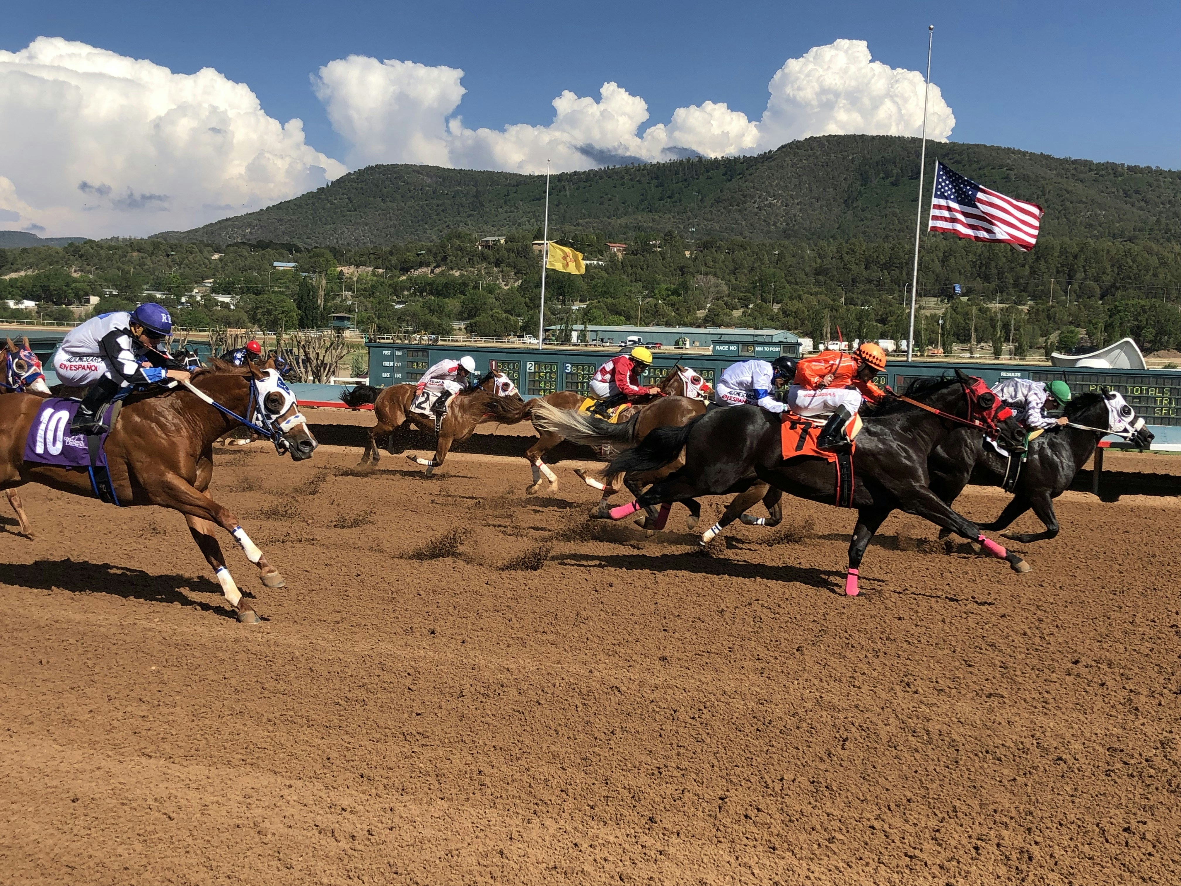 Premium 25/06/2022 Daily Update