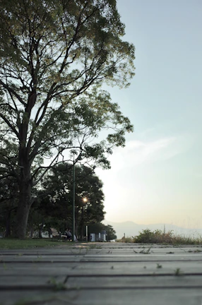 A scenic outdoor shot capturing inspiration during a morning walk.