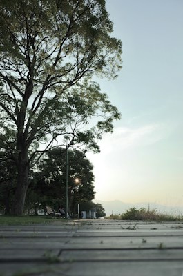 A serene outdoor walkway lined with trees on one side and open space on the other. The photograph captures a tranquil atmosphere with a lamp post near the trees. There is a faint view of mountains in the distance under a soft sky.