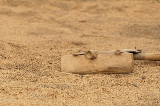 A wooden block is placed on a bed of dried, brown rice husks. The composition is minimalistic, with the earthy texture of the husks dominating the foreground and background. The wooden block appears to be a simple tool or farming implement, carved out of a single piece of wood.