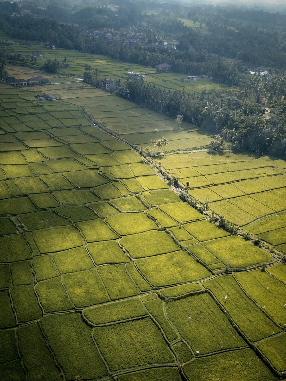 aerial photo of green plain field