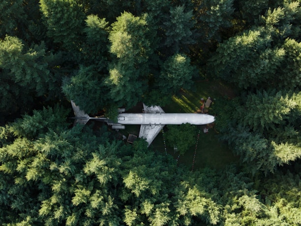 An aerial view of a large airplane nestled among dense, tall evergreen trees, blending into the forest surroundings.