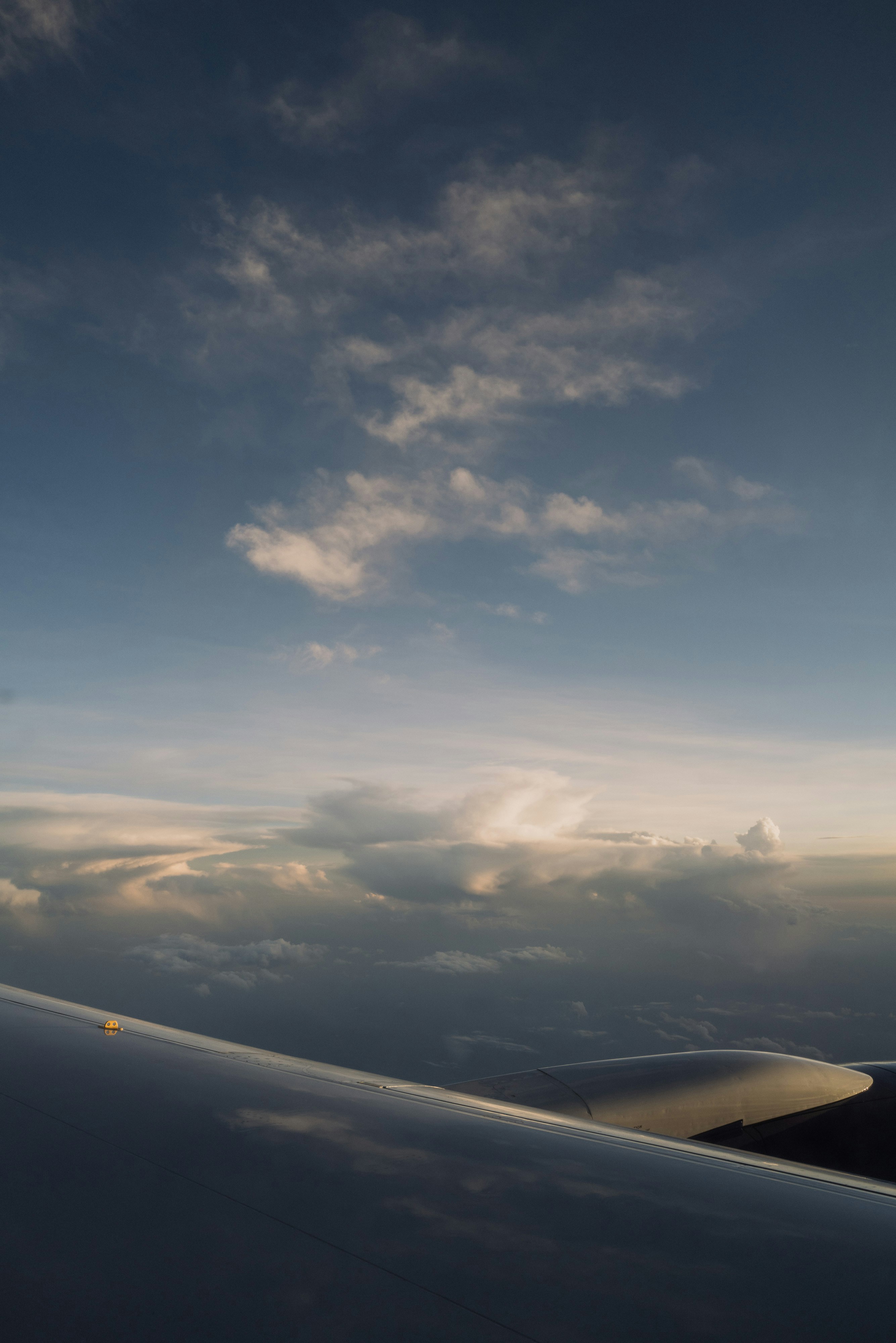 Photo by thommilkovic